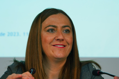 Virginia Barcones, delegada del Gobierno en Castilla y León, durante una comparecencia. -ICAL