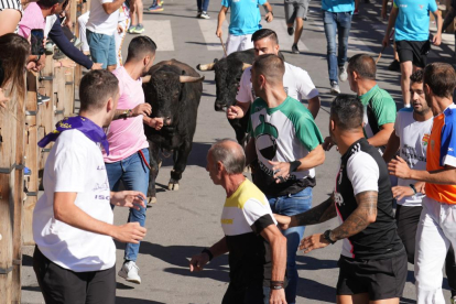 Encierros de las fiestas de Íscar, en Valladolid.- J.M.LOSTAU