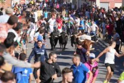 Encierros de las fiestas de Íscar, en Valladolid.- J.M.LOSTAU