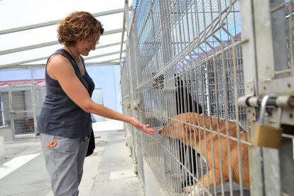 Una de las voluntarias de Volavall en una visita al Centro Canino, imagen de archivo.-EUROPA PRESS