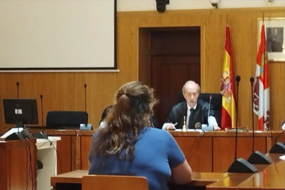 El TSJCyL confirma la pena de dos años de cárcel a la exedil de Festejos en Bobadilla (Valladolid) por estafa . - EUROPA PRESS