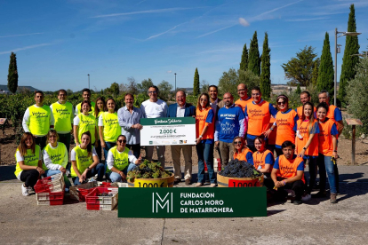 La Fundación Carlos Moro de Matarromera celebra su tradicional vendimia solidaria. - ICAL