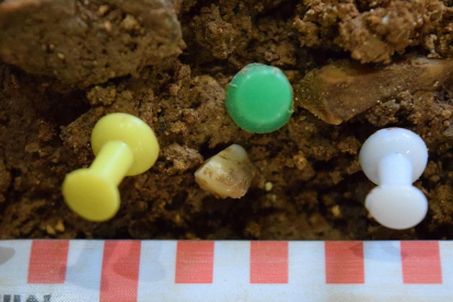 Hallan un diente de leche de neandertal en una cueva de Prado Vargas, al norte de Burgos-EQUIPO DE INVESTIGACIÓN DE PRADO VARGAS