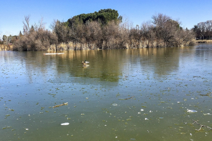 Lago congelado en Laguna de Duero. PHOTOGENIC /MIGUEL ÁNGEL SANTOS.