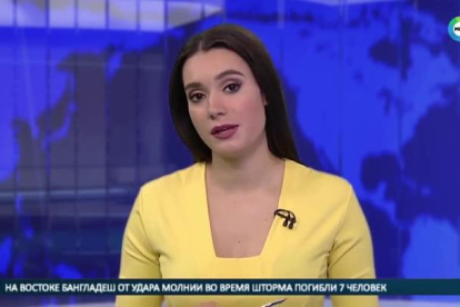 Un perro irrumpe en un plató de televisión ruso durante una emisión en directo.-YOUTUBE