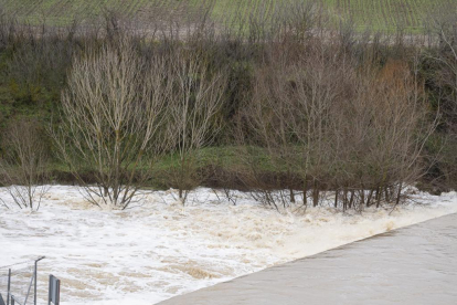 Río Adaja, a su paso por Valdestillas, con la borrasca Juan. -PHOTOGENIC