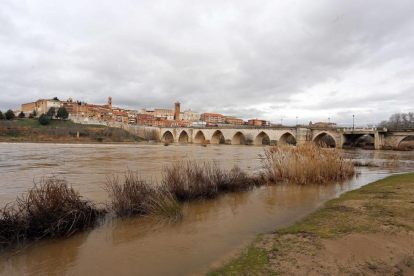 Río Duero a su paso por la localidad vallisoletana de Tordesillas-ICAL