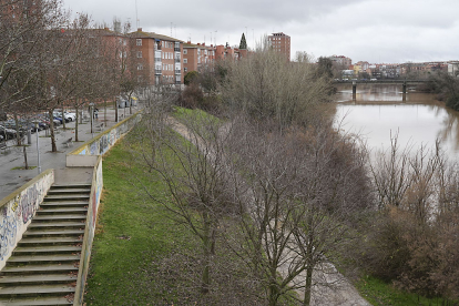 Vista del Paseo de Juan de Austria en la actualidad, con la 'senda de Santa Teresa', habilitada en la ribera del río. J. M. LOSTAU