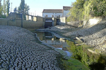 Vista del río Cega a su paso por la provincia vallisoletana.-El Mundo