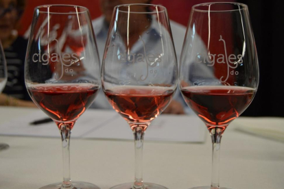 Copas con vinos de Cigales.-EUROPA PRESS