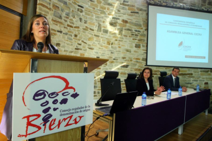 La consejera de Agricultura y Ganadería, Milagros Marcos (I), durante la clausura la Asamblea de la Conferencia Española de Consejos Reguladores Vitivinícolas que se celebra en Cacabelos (León)-Ical