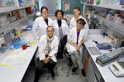 Investigadoras participantes en el estudio en las instalaciones del Instituto de Biología y Genética Molecular de Valladolid.-J. M. LOSTAU