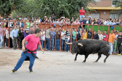 Un hombre esquiva al bravo durante la celebración del toro de la vendimia del pasado año en Rueda.-Santiago