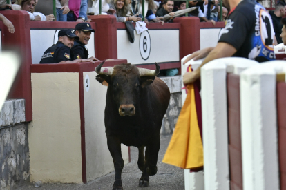 Concurso de Cortes de Valladolid.- JOSÉ SALVADOR