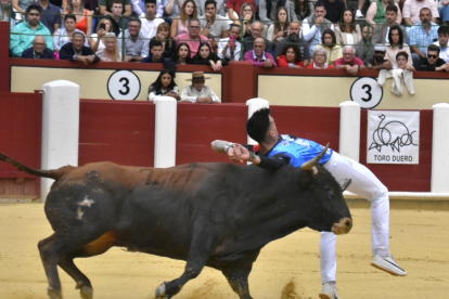 Concurso de Cortes de Valladolid.- JOSÉ SALVADOR