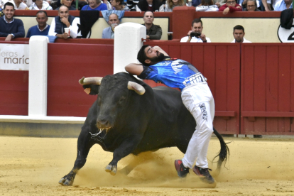 Concurso de Cortes de Valladolid.- JOSÉ SALVADOR