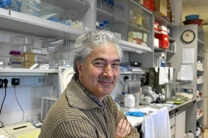 El subdirector del Centro de Investigación del Cáncer, Atanasio Pandiella-Ical