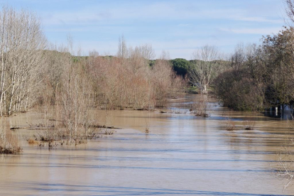 Fotos del río Cega a su paso por Viana. -PHOTOGENIC.