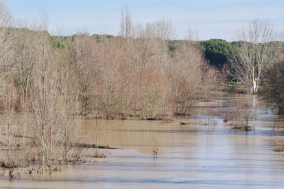 Fotos del río Cega a su paso por Viana. -PHOTOGENIC.