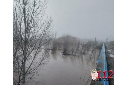 Fotos del río Cega a su paso por Viana. X: 112 CyL.