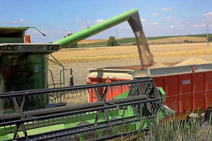 Una cosechadora y vagón de descarga de grano recién cosechado en una finca de la Comunidad-Brágimo