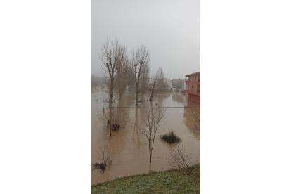 Fotos del río Cega a su paso por Viana. E.M.