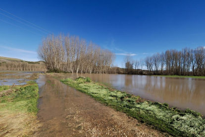 Fotos de la inundaciones en Rábano por la crecida del río Duratón. -PHOYOGENIC.