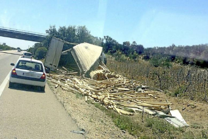 Restos del camión y parte de  la carga en el siniestro de la A-6 a la altura de Villardefrades.-Noticias Castilla y León.com