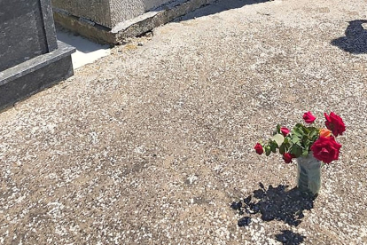 Flores en el área de excavación de la fosa en el cementerio de Villadangos.- ARMH