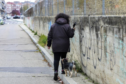 Una mujer pasea con su perro en la estrecha ‘acera de la vergüenza’, ubicada en  la calle Salud.-J.M. LOSTAU
