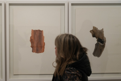 Una mujer contempla dos trabajos al óleo de la serie 'Piel de árbol'. | LOSTAU