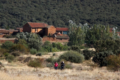 Zona donde desapareció la peregrina americana Denise Thiem, cerca de la localidad leonesa de Castrillo de los Polvazares.-ICAL