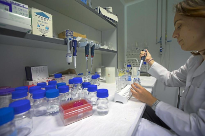 Una investigadora trabaja en las instalaciones del CSIC en la Incubadora de Empresas Biotecnológicas.-PHOTOGENIC