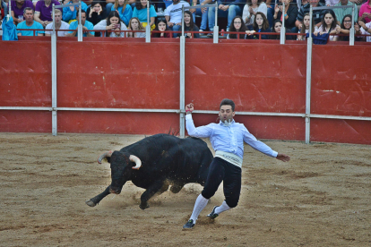 Concurso de Cortes en la plaza de toros en las fiestas de Santa Marina . - E. M.