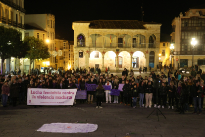 Manifestación del 25-N por las calles de Zamora.- ICAL