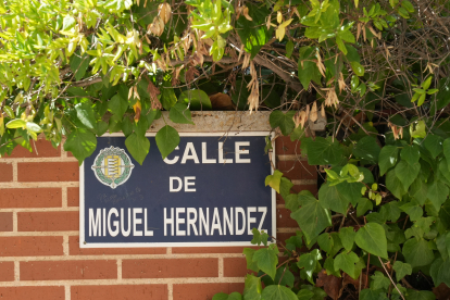 Calle Miguel Hernández .-J.M. LOSTAU
