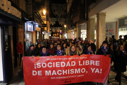 Manifestación del 25-N por las calles de Zamora.- ICAL