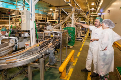Línea de producción de galletas de la marca Fontaneda en la fábrica navarra de Viana.-EM