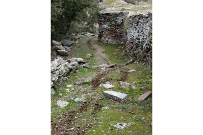 Agresión en el yacimiento arqueológico del Cerro del Castillo en Bernardos (Segovia)-ICAL