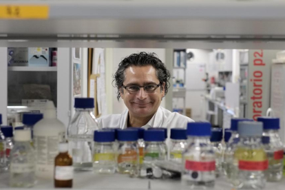 Juan Pedro Bolaños, coordinador del grupo de trabajo, en las instalaciones de su laboratorio en la Universidad de Salamanca.-ENRIQUE CARRASCAL