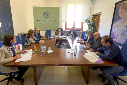 Reunión de representantes de los grupos políticos de la Diputación y de la Fundación Personas, ayer en el Palacio de Pimentel de Valladolid.-EL MUNDO