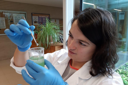 La burgalesa lleva 5 años trabajando en este proyecto en el laboratorio del Instituto de Biomedicina de la Universidad de León.- EL MUNDO