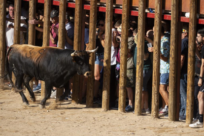 Encierros de Peñafiel.- PHOTOGENIC