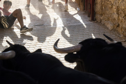 Encierros de Peñafiel.- PHOTOGENIC