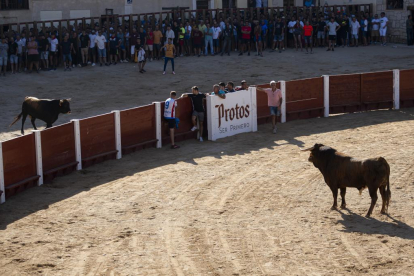 Encierros de Peñafiel.- PHOTOGENIC