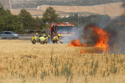 Incendio agrícola en unas parcelas entre las provincias de Palencia y Valladolid.