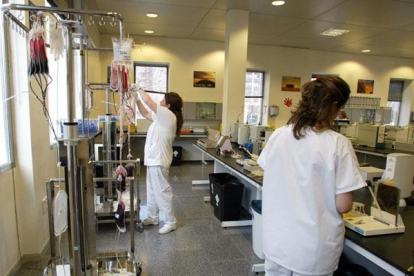 Laboratorio del Centro de Hemoterapia y Hemodonación de Castilla y León.-MIRIAM CHACÓN ICAL