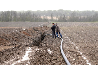 Zanja para riego que ha afectado de forma irreversible a parte del yacimiento de Pintia en Padilla de Duero. ICAL