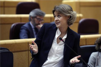 Tejerina, dándo explicaciones en el Senado-KIKO HUESCA