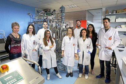 Miembros del grupo de investigación Bioforge de la Universidad de Valladolid en el edificio LUCÍA.-MIGUEL ÁNGEL SANTOS / PHOTOGENIC